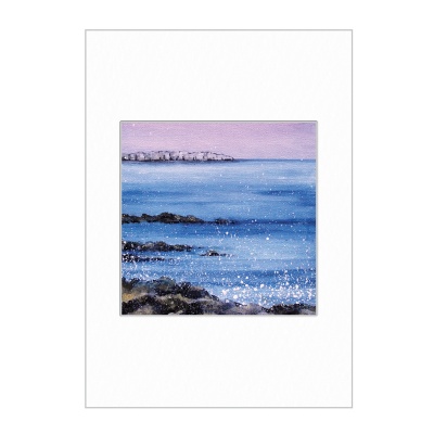 Farne Island Mini Print A4